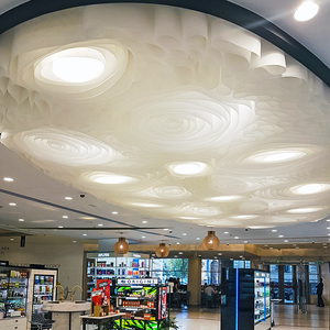 Illuminazione moderna nordica hotel sala banchetti centro commerciale club house Guest house forma speciale lampadario a soffitto decorativo personalizzato - Product Image 3