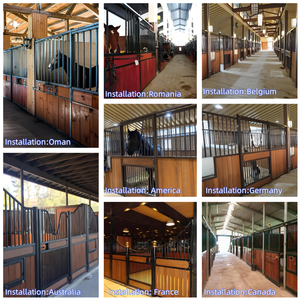 Establos Portátiles de Madera para Caballos en Oferta, Venta de Equipos para Establos de Caballos en China, Boxes de Acero para Caballos - Product Image 4