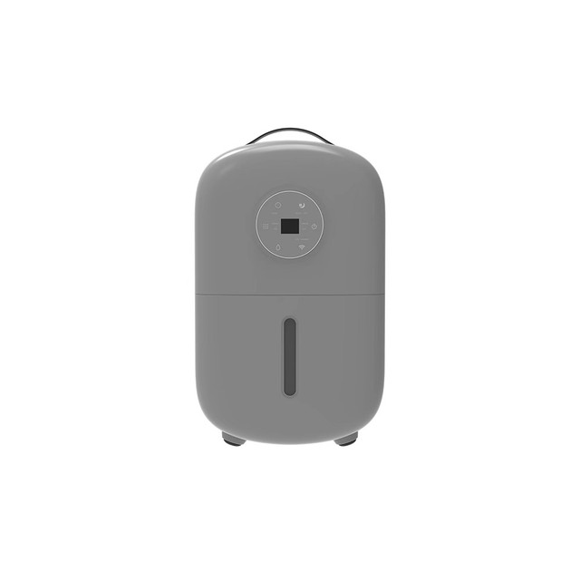 Mini Dehumidifier 5L for Home