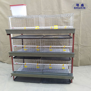 2020 Venta caliente automático sistema <span class=keywords><strong>de</strong></span> agua potable aves <span class=keywords><strong>de</strong></span> <span class=keywords><strong>corral</strong></span> <span class=keywords><strong>de</strong></span> engorde jaula <span class=keywords><strong>de</strong></span> pollo - Product Image 3
