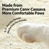 Litière pour chat en tofu biodégradable, écologique, hautement absorbante, jetable dans les toilettes, sans poussière, à agglomération rapide, parfum fruité, en matériaux naturels