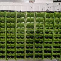 Offre Spéciale bon marché Lyine Greenwalls Panneaux d'usine d'intérieur et d'extérieur Mur vert artificiel