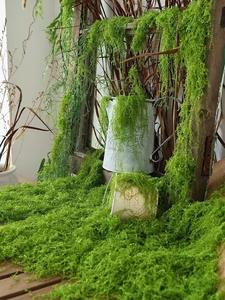 Q-1311 Kunstmosgras Natuurlijk Kunstmatig Zacht Mos Kunstmos Voor Wanddecoratie Woondecoratie - Product Image 2