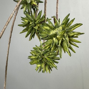 Flores Artificiales de EVA (Peonía <span class=keywords><strong>Coral</strong></span> Emperador) Estilo Abstracto Wabi-Sabi con Tacto Realista para Fotografía de Bodas y Decoración del Hogar - Product Image 6