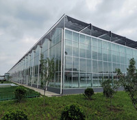 Grand système de serre agricole verticale hydroponique NFT de conception chinoise pour la culture de plantes en verre pour l'agriculture urbaine