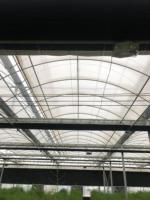 Fabrieksgemaakte foliekas met metalen frame voor het kweken van tomaten