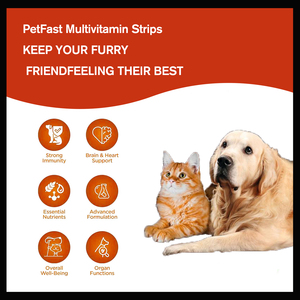Meilleures ventes Fabricant professionnel efficace 11 en 1 Multi-vitamines à mâcher quotidiennement <span class=keywords><strong>pour</strong></span> animaux <span class=keywords><strong>de</strong></span> compagnie Soutien immunitaire - Product Image 3