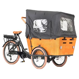 JOYKIE factory customize 250w bafang mid drive 3 wheel electric cargo bike for food