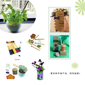 Crayons Plantables en Gros : Designs Personnalisés, Logos, Emballages Spéciaux, Crayons en Bois avec Graines à Planter - Product Image 5