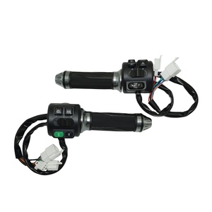 SIAECOSYS Gruppo Acceleratore Multifunzione di Alta Qualità per Moto Elettrica con Interruttore Sistema Elettrico Premium - Product Image 1
