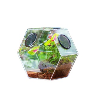Terrario Esagonale Extra Large con Ventole in Rete, Contenitore Impermeabile per Uso Domestico con Fiori Artificiali - Product Image 1