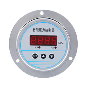 ตัวควบคุมแรงดันแบบแผงหน้าปัด Suzhou Xuansheng รุ่น YBK100ZT ขนาด 100 มม. พร้อมหน้าจอดิจิตอล สวิตช์เตือนภัย และเกจวัดความแม่นยำ - Product Image 1