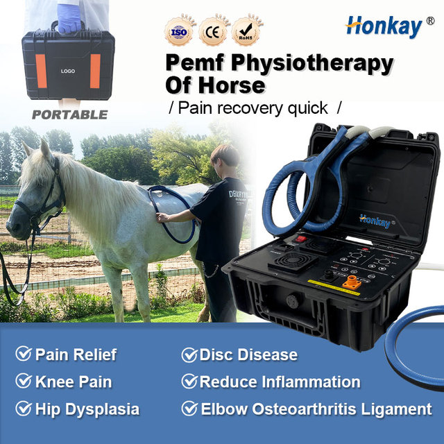 Promotion Portable Pemf Magnetic Therapy Device Pmst Loop Horse Magnetic Therapy Pemf Machine