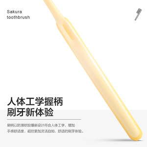 Sakura <b>Toothbrush</b> Adult Wide <b>Head</b> Extra Soft Bristles Family Gum Care Manual Home Use - Product Image 4