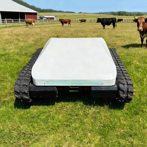Umweltfreundlicher Lithium-Akku Elektrischer Rasenmäher Superstarker Raupenmäher zum Grasschneiden - Product Image 2