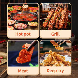 チリパウダースパイシーシードバーベキュー調味料ドライディッシュディップソース商業用わずかにスパイシーチリパウダー - Product Image 6