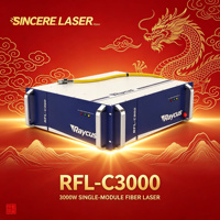 Sumber Laser Fiber Modul Tunggal Raycus 3000W CW, Stabilitas Tinggi untuk Mesin Pemotong Logam Industri