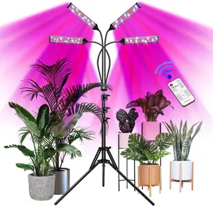 Top Vendendo 2021 Melhor Horticultura interior Flor Lâmpadas de Crescimento orgânico temporizador planta Cresce A luz LED com tripé