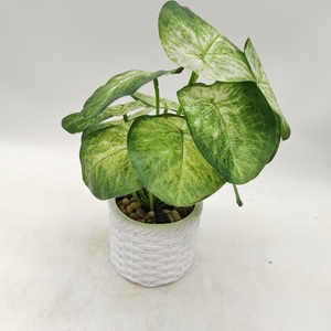 Ensemble de petits pots artificiels en céramique émaillée de style européen avec mini plantes en pot pour la décoration de sol de jardin de table de bureau de <span class=keywords><strong>maison</strong></span> - Product Image 4