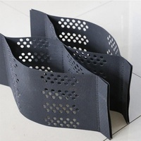 Grille de sol en géocell HDPE texturée et perforée pour allées, murs de soutènement, construction routière et stabilisation du gravier