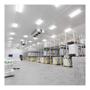 Grande chambre froide pour poulet congelé, projet de stockage frigorifique, chambre froide, chambre de congélation, chambre froide - Product Image 5