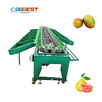 Nieuw Type Papaya Sorter Machine Durian Sorteermachine