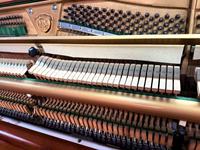 Used Samick Sm--900 131cm Colored Upright Piano, Professional Grade