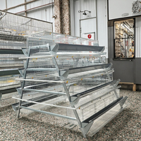 Cages en batterie pour poules pondeuses d'élevage avicole