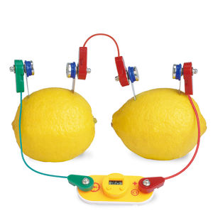 4 In 1 Fruit Energieopwekking Fysica Educatieve <span class=keywords><strong>Kit</strong></span> Eenvoudige Elektrische Circuit Experiment Speelgoed <span class=keywords><strong>Science</strong></span> <span class=keywords><strong>Lab</strong></span> <span class=keywords><strong>Kit</strong></span> Voor Kinderen - Product Image 2