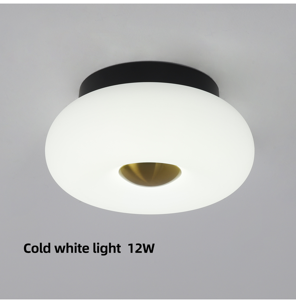 Modern Popular 3 Color changeable Round Led Ceiling Light 12w 24w PE Lamp For North Europe