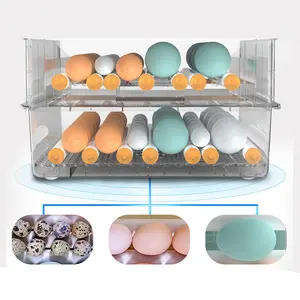 China Factory Cheap Price Chicken Eggs Solar Incubator Egg Incubator Hatching Machine Hatcher Egg Incubator With High Quality