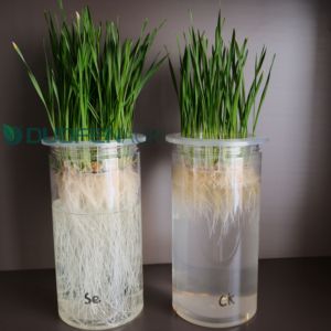 <span class=keywords><strong>Engrais</strong></span> <span class=keywords><strong>naturel</strong></span> biologique à base d'algues à libération rapide <span class=keywords><strong>pour</strong></span> les cultures, les sols, les plantes, les arbres, les fleurs, les arbres fruitiers - Product Image 5
