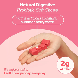 Vigoworld, OEM, Etiqueta Privada, masticables suaves probióticos para adultos, soporte digestivo, fabricante de suplementos masticables personalizados - Product Image 5