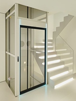 Ascenseur panoramique pour villa, économique, à vis, facile d'entretien, pour 2 à 5 étages, faible bruit, certifié CE, adapté aux personnes âgées et aux fauteuils roulants