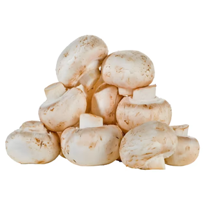 Fournitures d'usine Extrait de <span class=keywords><strong>Pleurotus</strong></span> <span class=keywords><strong>Eryngii</strong></span> / Poudre de <span class=keywords><strong>Pleurotus</strong></span> <span class=keywords><strong>Eryngii</strong></span> / Polysaccharides de <span class=keywords><strong>Pleurotus</strong></span> <span class=keywords><strong>Eryngii</strong></span> 30%-80% - Product Image 2