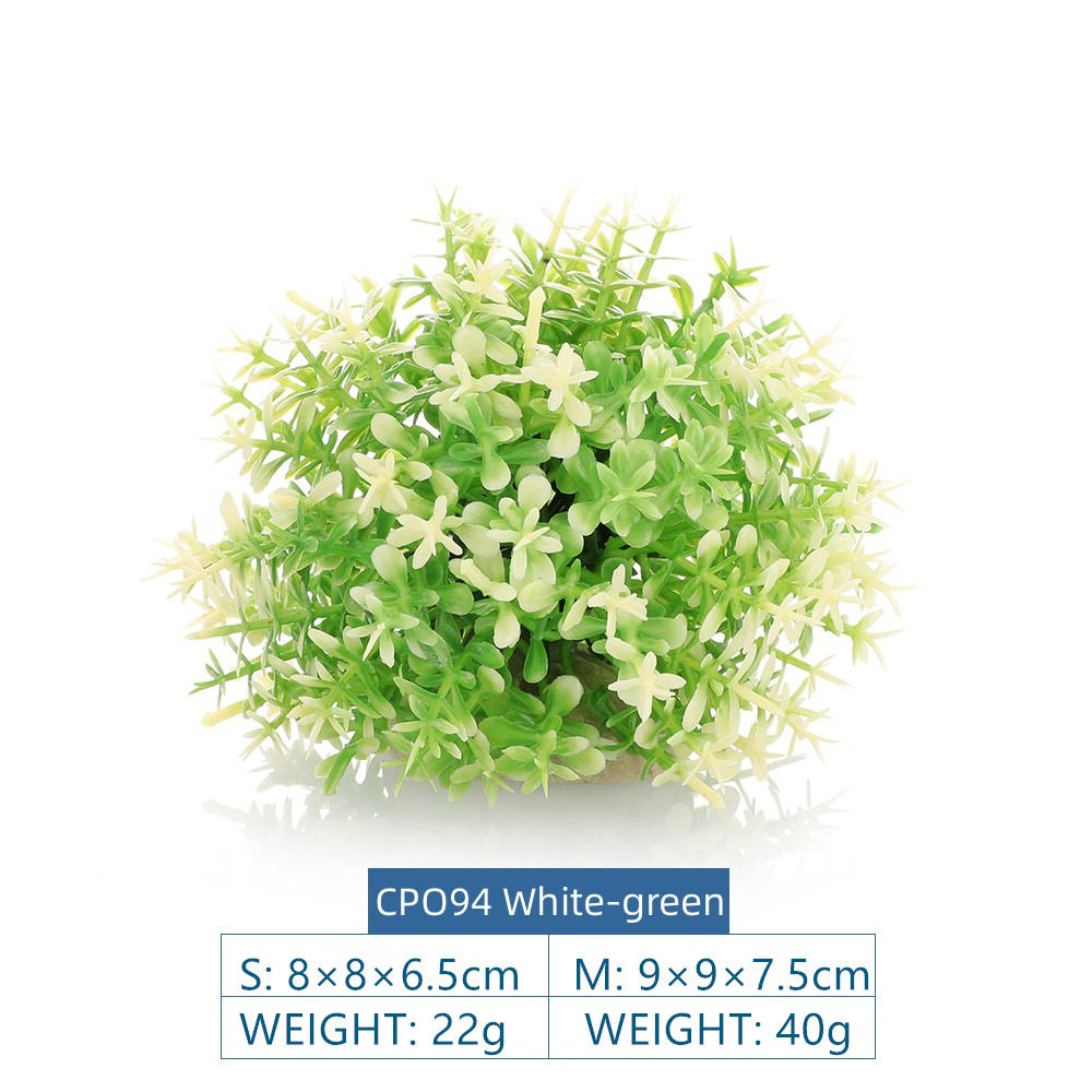 CPO94White-green