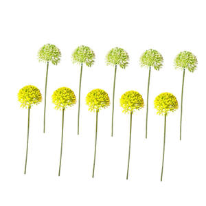 Graines de Scabiosa en Soie Artificielle de Haute Qualité pour la Décoration de la Maison, les Mariages, les Fêtes et les Accessoires de Photographie - Product Image 1