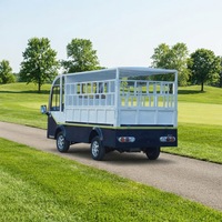 Nouveau bus de patrouille électrique longue portée, 2 places, camion utilitaire à 4 roues, transport de marchandises, tourisme, avec batterie au lithium
