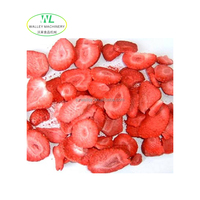 Hotsale Walley Industriële Dehydratatiemachine Gedroogd Fruit Groente Champignon Voedseldroger Stoomdroger 24.2kw Motor SUS304