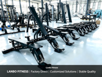Fabricant d'équipements de gym, vente en gros : Machine à dips et extensions dorsales à charges sélectionnables, certifiée CE
