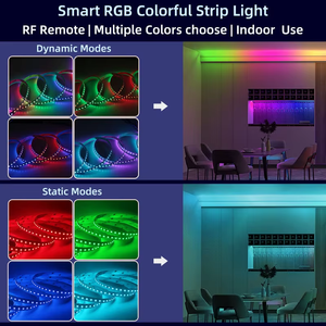 ไฟ LED แบบเส้น WS2811 IC Addressable RGB 24V 120LEDs/m ความกว้าง 5 มม. แบบดิจิตอลยืดหยุ่นได้ 3535 RGB LED 12V ควบคุมผ่านแอพ 20 ช่อง - Product Image 2