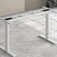 Bureau debout électrique réglable en hauteur, cadre de bureau SPCC à moteur unique avec plateau pour câbles, table de bureau ergonomique pour ordinateur, vente en gros
