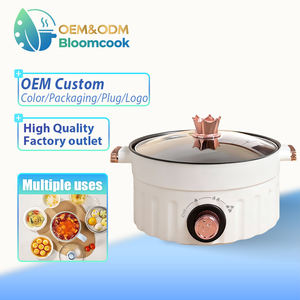 Cocina Eléctrica Portátil Multifuncional Bloomcook OEM 2025, de Gas Solar, con Temperatura Ajustable, Calentamiento Rápido, Antiadherente, Mini, para Hotel - Product Image 6