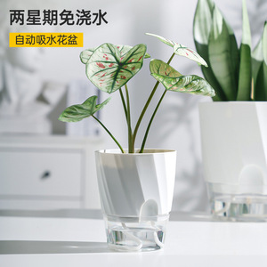 Self Watering Flower <b>Pot</b> Plastic Transparent Desktop Planter Minimalist Design For Indoor Plants - Product Image 2