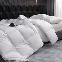 Couette en duvet de plumes d'oie/canard bio en gros pour lit Queen/King, idéale pour l'hiver et l'usage domestique, inspirée de l'hôtel Hilton