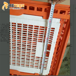 Gabbia di Trasporto per Pollame in Plastica Rinforzata Pieghevole, Cassa per Trasporto Polli in Vendita - Product Image 4