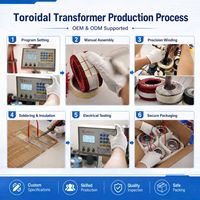Transformador de Potencia Toroidal Monofásico de 800VA, 60Hz, de 120V a 48V para Amplificador de Audio y Equipo Médico con Bobinado de Cobre