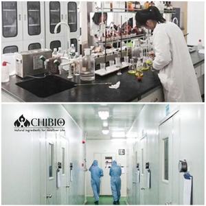 דגים או אצות שמן DHA אבקה/אומגה 3 אבקה/DHA אבקה - Product Image 5