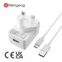 Chargeur mural USB 6V 1A homologué UKCA CE 60601-1, entrée 100-240V pour tensiomètre, 5V2A pour tire-lait électrique