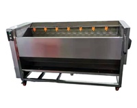 ZHUOYU Groentewas- en reinigingsmachine met borstel voor wortelen, aardappelen en gember, inclusief rollerwasser en schilmachine